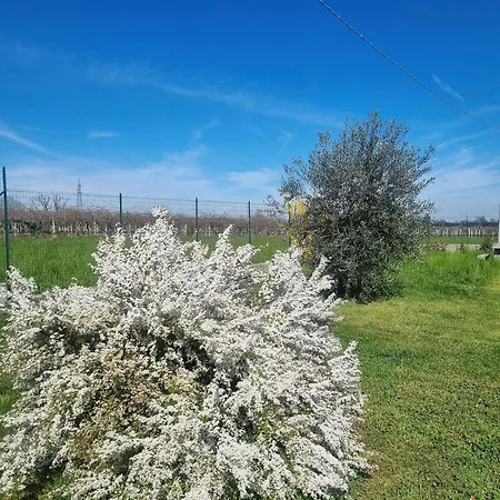 Cascina La Demilana Bibiana