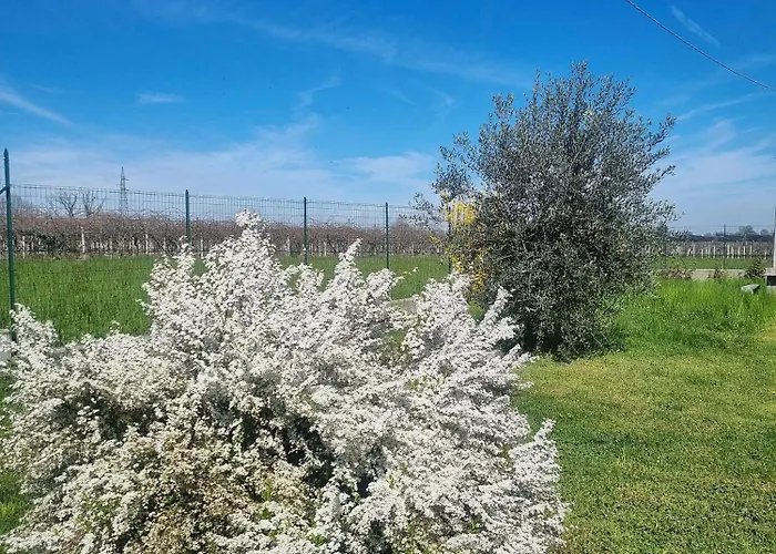 Cascina La Demilana Bibiana